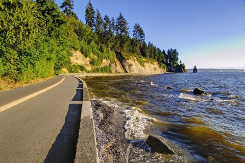 Vancouver Walk and Talk Therapy