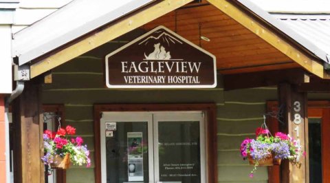 Eagleview Veterinary Hospital
