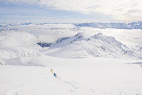 Backcountry Bounty