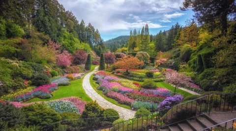 Butchart Gardens Ltd