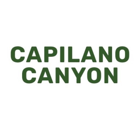 Capilano Canyon Logo
