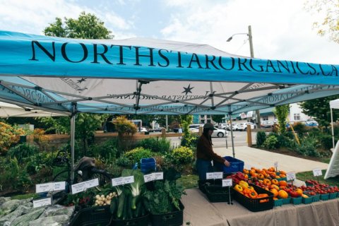 Esquimalt Farmer's Market