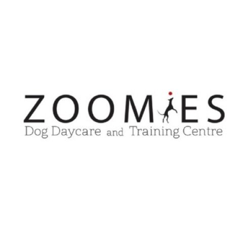Zoomie Dog Daycare and Training Centre