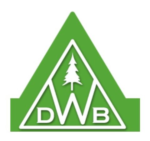 logo-DWB Consulting Services