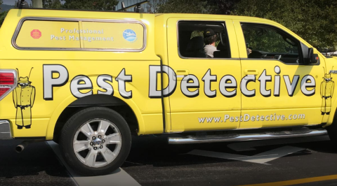 Pest Detective - North Vancouver