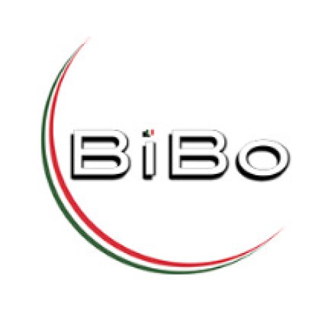 RINW-Logo-BiBo