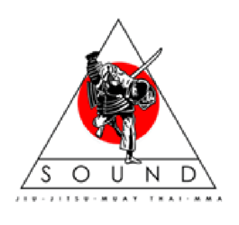 The Sound Martial Arts