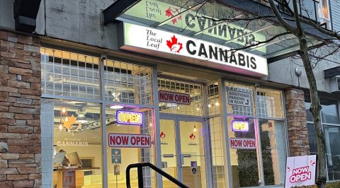 The Local Leaf Cannabis