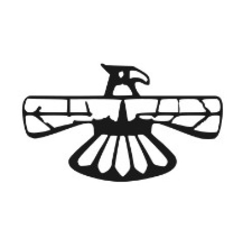 logo-Thunderbird-Vapes