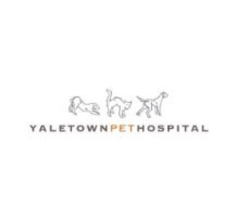 Yaletown Pet Hospital
