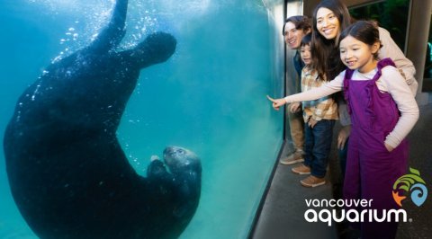 Vancouver Aquarium