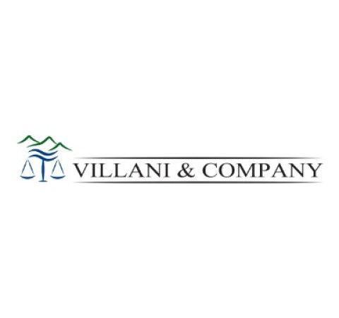 Villian and Co Logo
