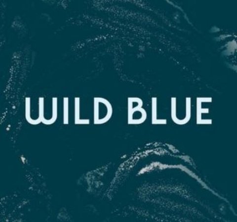 Wild Blue Restaurant + Bar